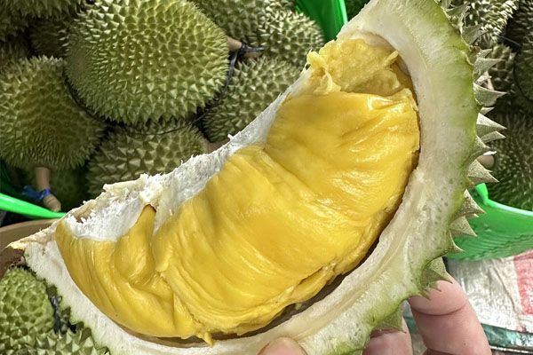 Sầu riêng Ri6 và sầu riêng Thái: Nguồn gốc, xuất xứ